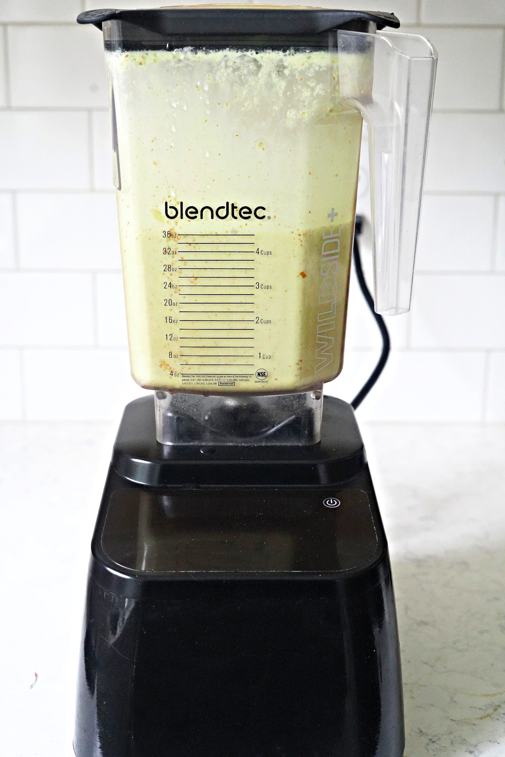 Homemade Mint Chocolate Chip Ice Cream
