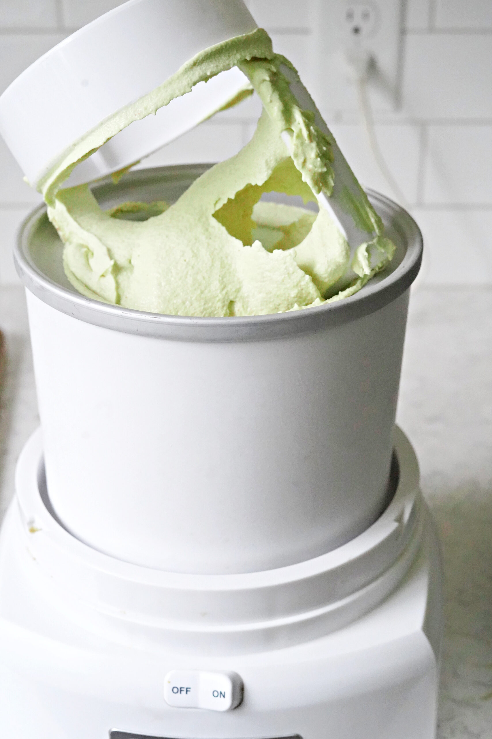 Homemade Mint Chocolate Chip Ice Cream