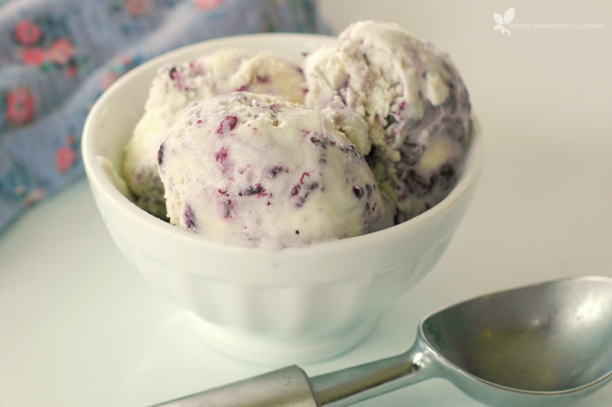 Blueberry Swirl Ice Cream :: Dairy Free Option