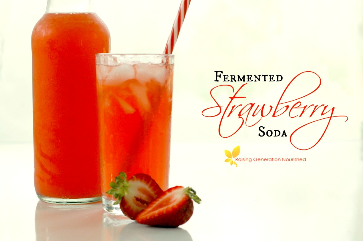 Fermented Strawberry Soda