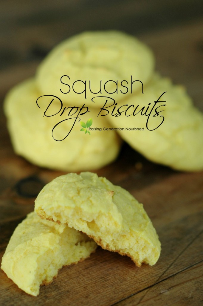 Simple & Quick Blender Squash Drop Biscuits