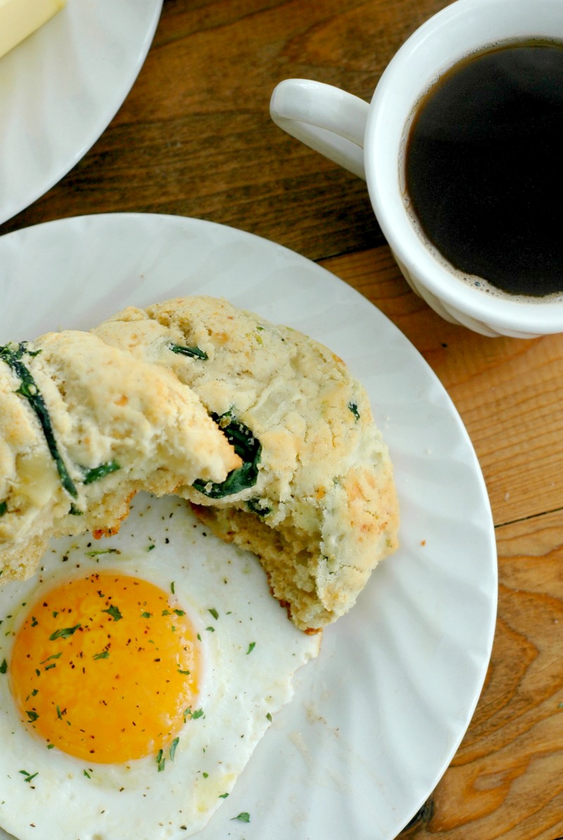 Gluten Free Savory Spinach & Cheese Breakfast Biscuits :: Soft and buttery inside, crisp cheesy outside, these savory spinach and cheese biscuits make the perfect breakfast topped with a fried egg, or just dripping with butter!