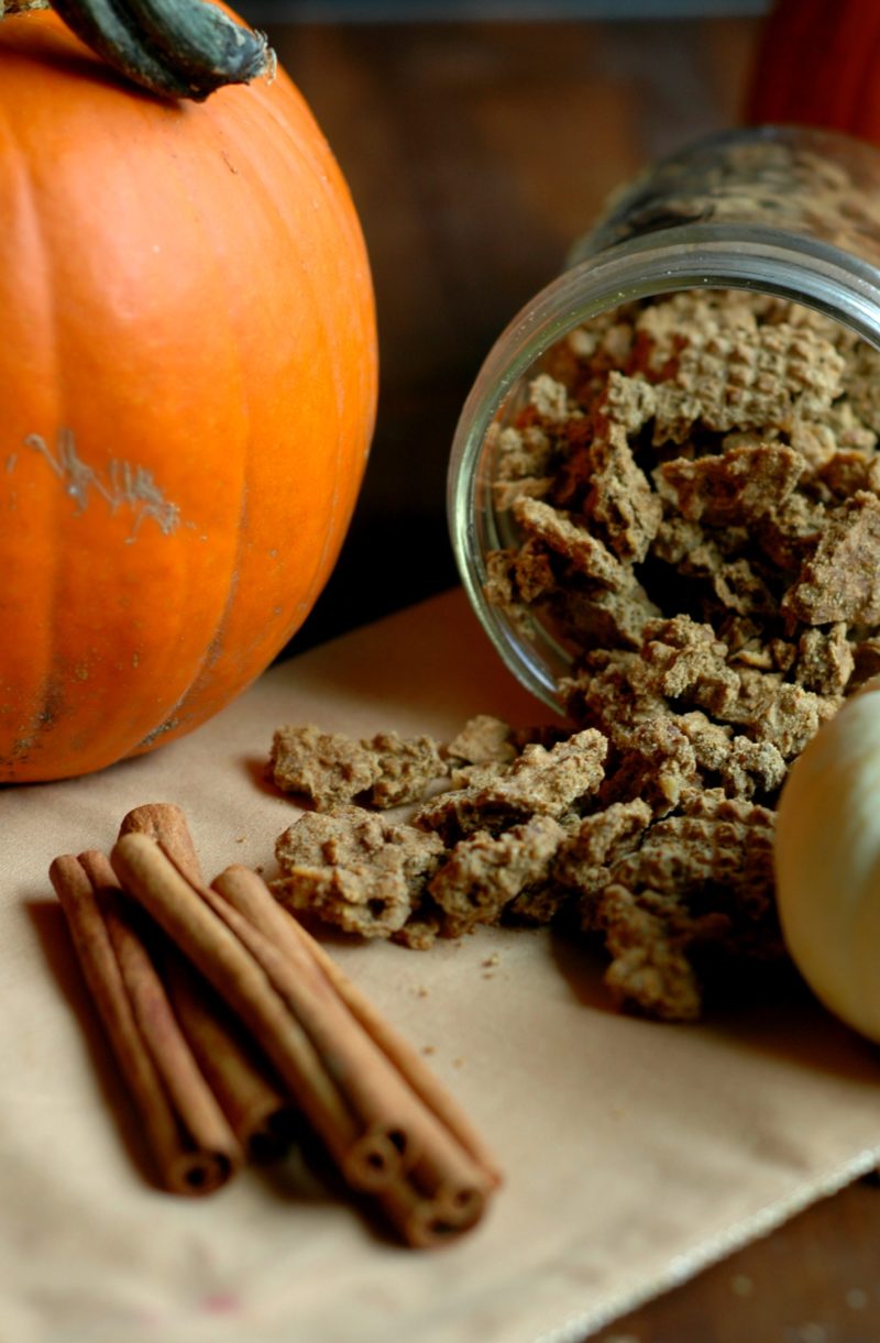 Cinnamon Pumpkin Granola :: Gluten Free with Grain Free Options :: Mineral rich cinnamon pumpkin granola is busy school day ready, and on the go for a fun filled autumn weekends!
