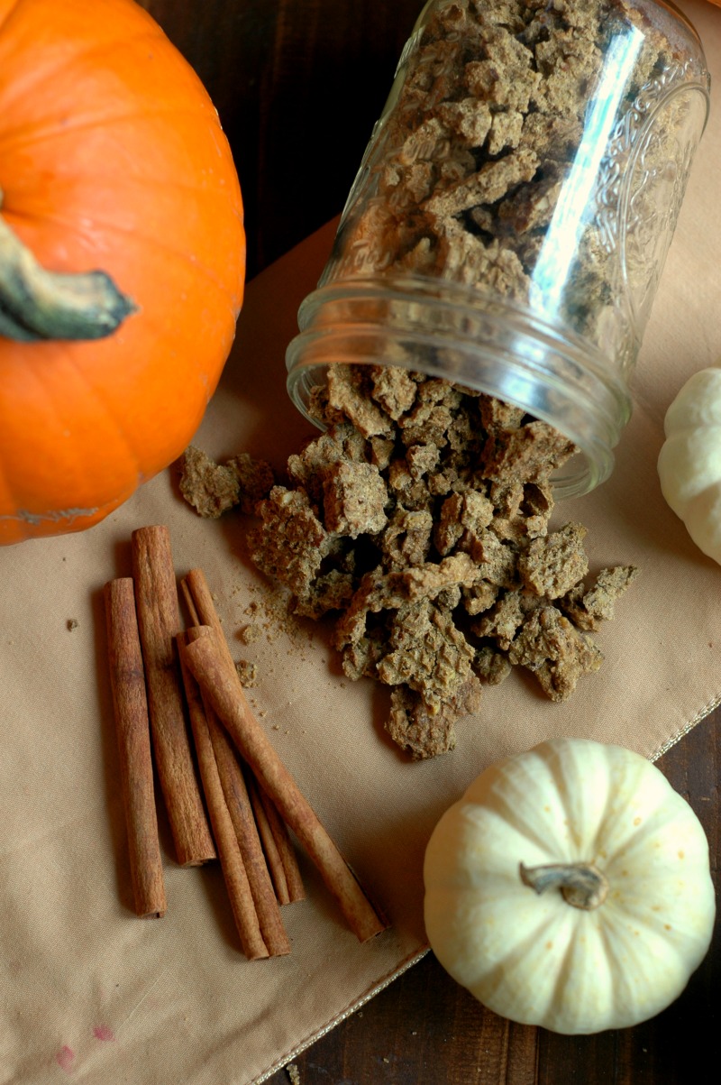 Cinnamon Pumpkin Granola :: Gluten Free with Grain Free Options :: Mineral rich cinnamon pumpkin granola is busy school day ready, and on the go for a fun filled autumn weekends!