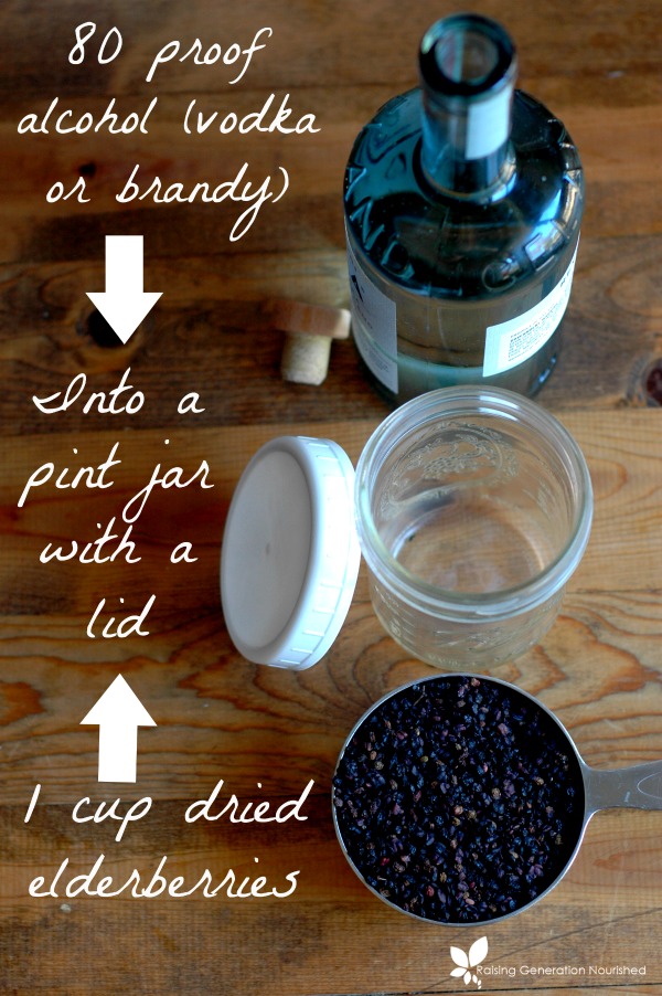 How To Make Elderberry Tincture ::Learn how to make and use an elderberry tincture to effectively battle viruses and boost the immune system!