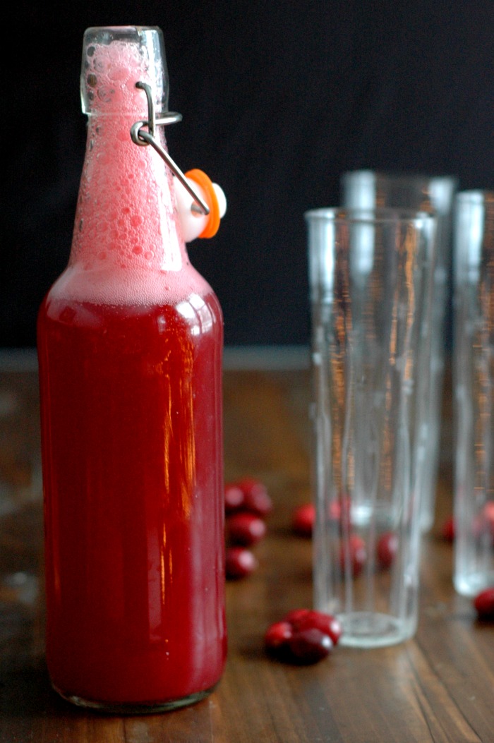 Fermented Cranberry Soda :: A naturally probiotic rich, kid friendly, real food soda!