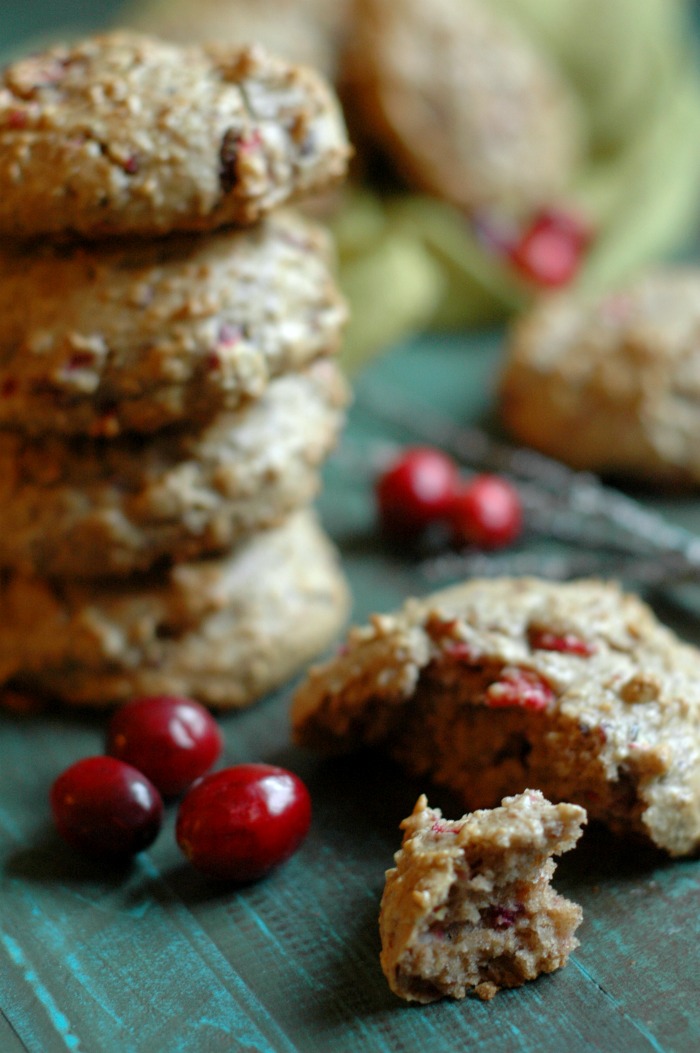 Blender Batter Fresh Cranberry Breakfast Cookies :: Gluten Free, Refined Sugar Free, Paleo Friendly