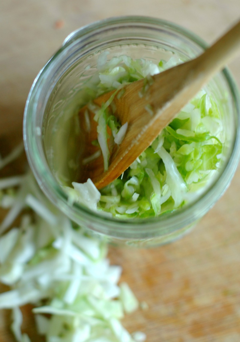 Probiotic Rich Sauerkraut {Fermented Cabbage} :: 2 Ingredients, Quick Prep, Real Food!