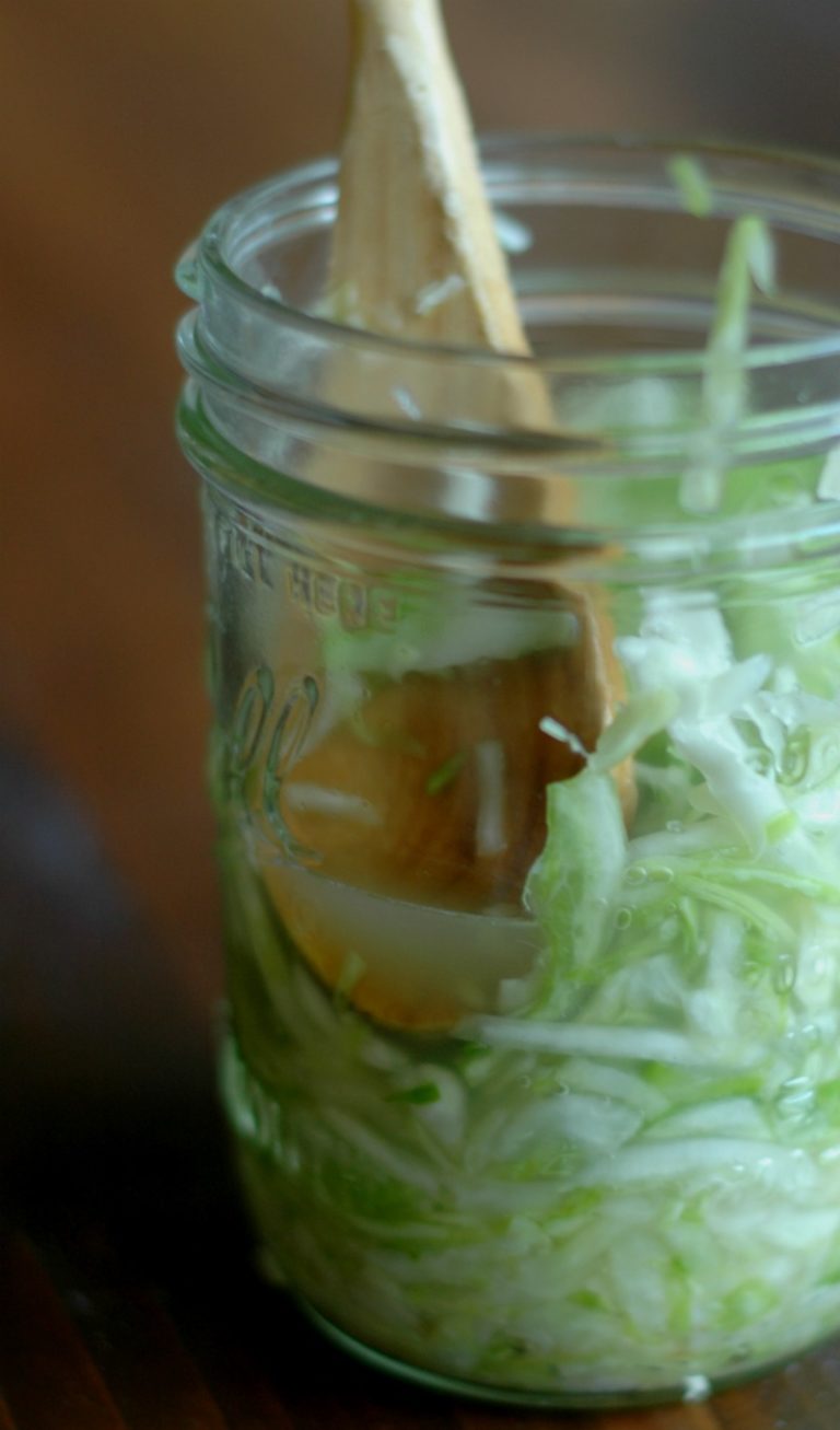 Probiotic Rich Homemade Sauerkraut {Fermented Cabbage} 2 Ingredients