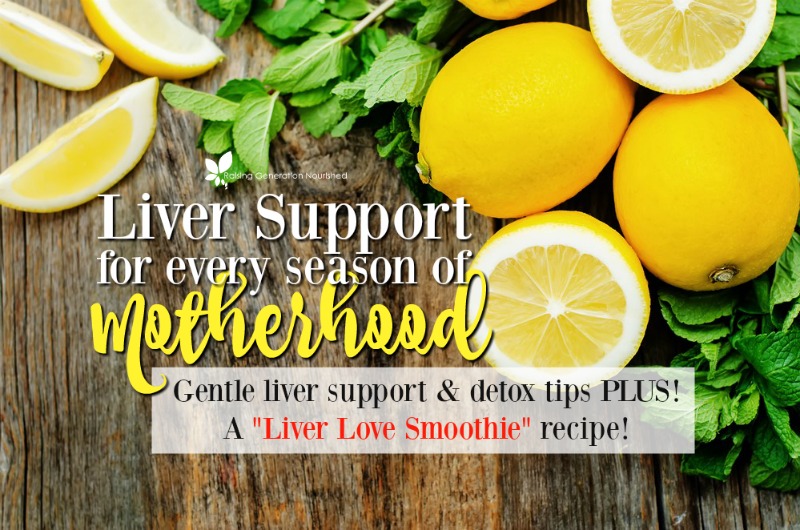 Liver Support For Every Season Of Motherhood :: Gentle Liver Support & Detox Tips PLUS! A "Liver Love Smoothie" Recipe!