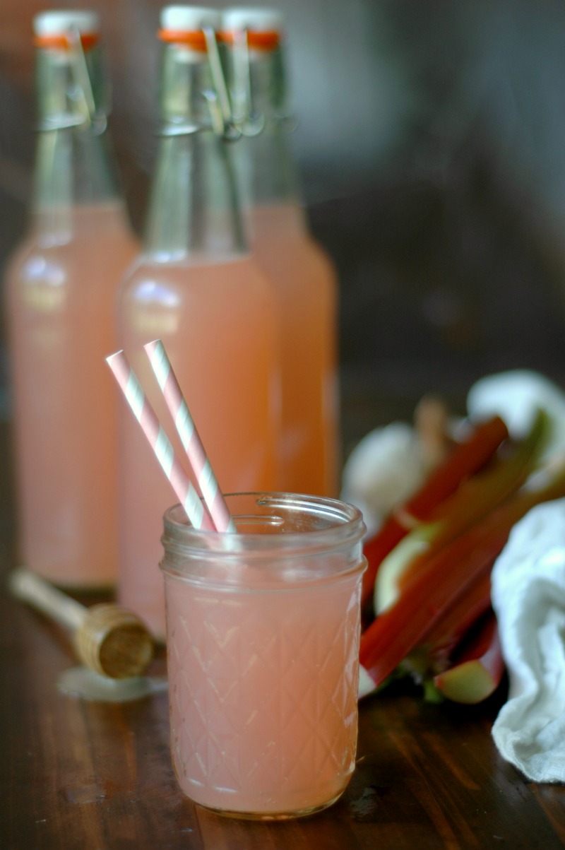 Honey Rhubarb Water Kefir Soda :: A naturally probiotic rich fizzy, fun drink for the whole family!