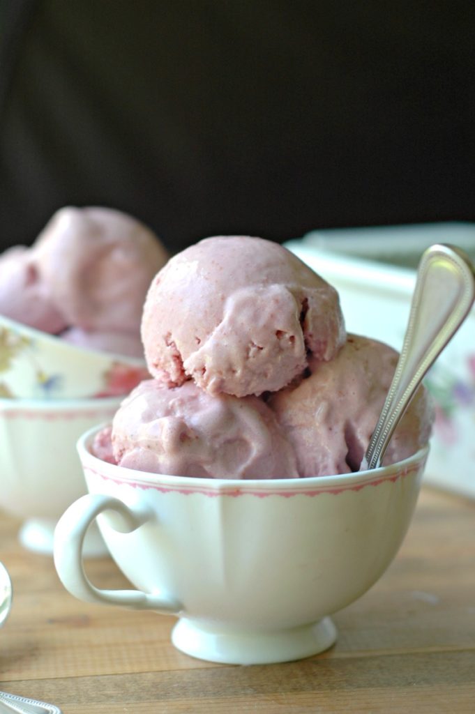 How To Make Berry Ice Cream Using Any Summer Berry! :: Dairy Free & Egg Free Too!