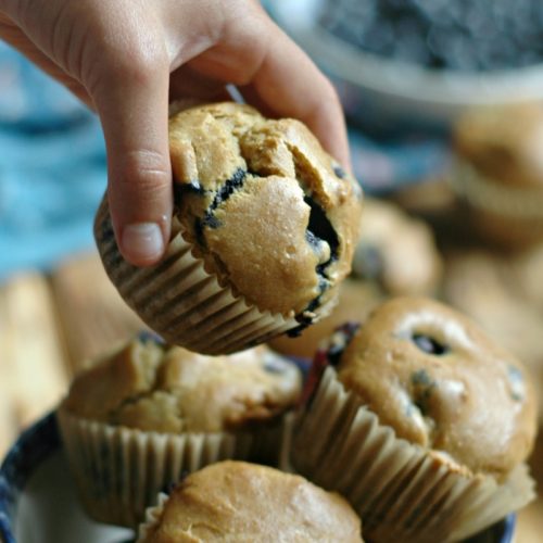 Gluten Free Blueberry Muffins