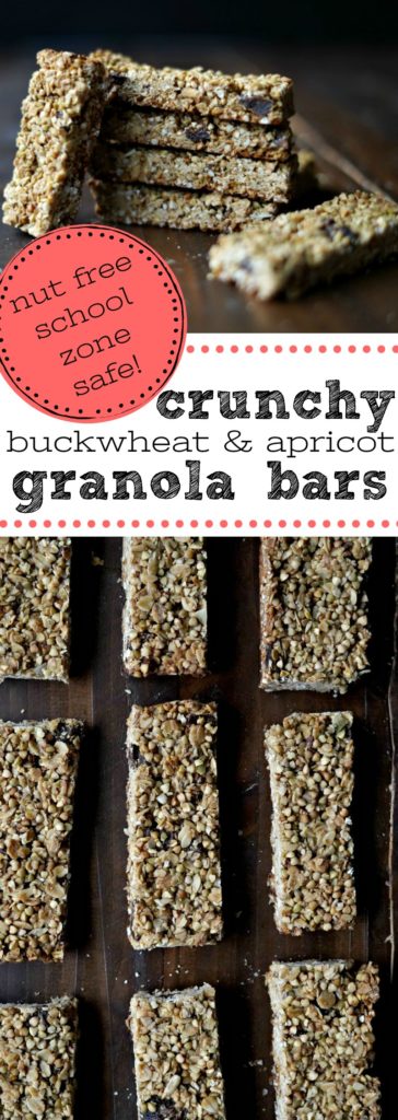 Nut Free Crunchy Buckwheat and Apricot Granola Bars :: Gluten Free, Nut Free, Dairy Free, Soy Free