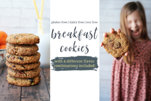 Breakfast Cookies - 6 Ways!