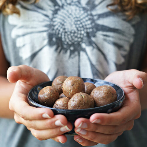 Bone Broth Chocolate Protein Bites :: Gluten, Dairy, Egg, Nut, & Bean Free!