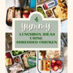 4 Yummy Lunchbox Ideas Using Shredded Chicken