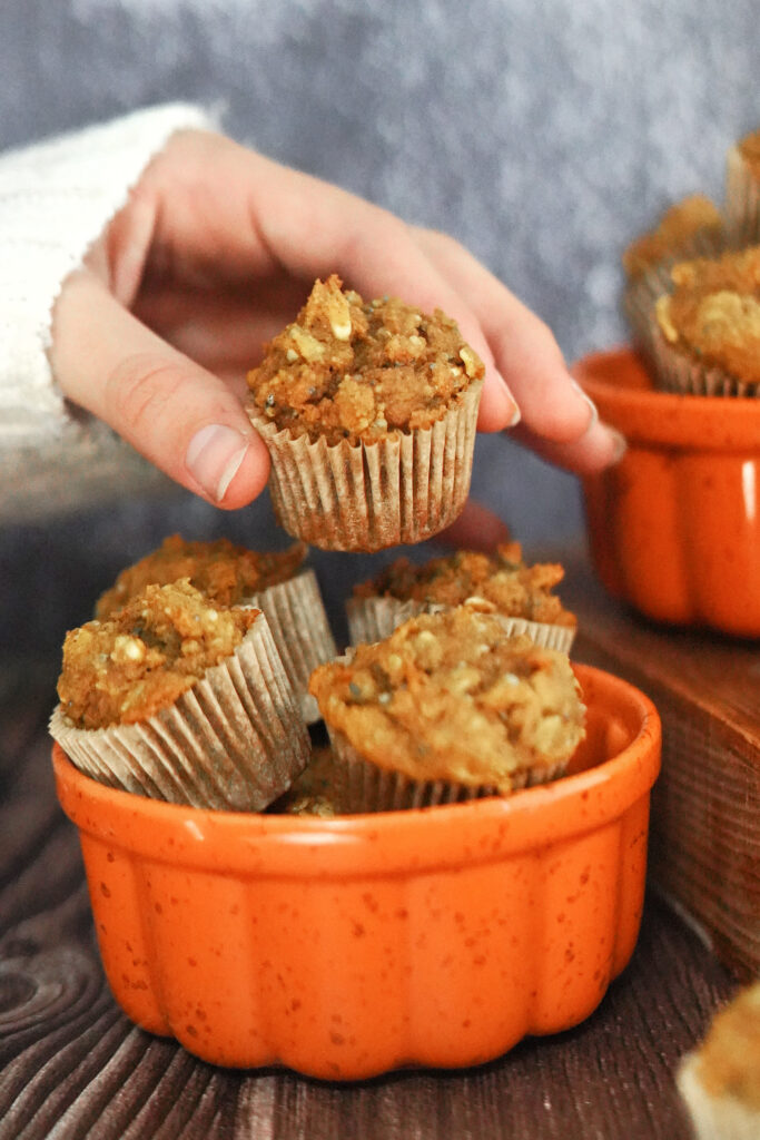 Kid Friendly Power Packed Pumpkin Snack Bites