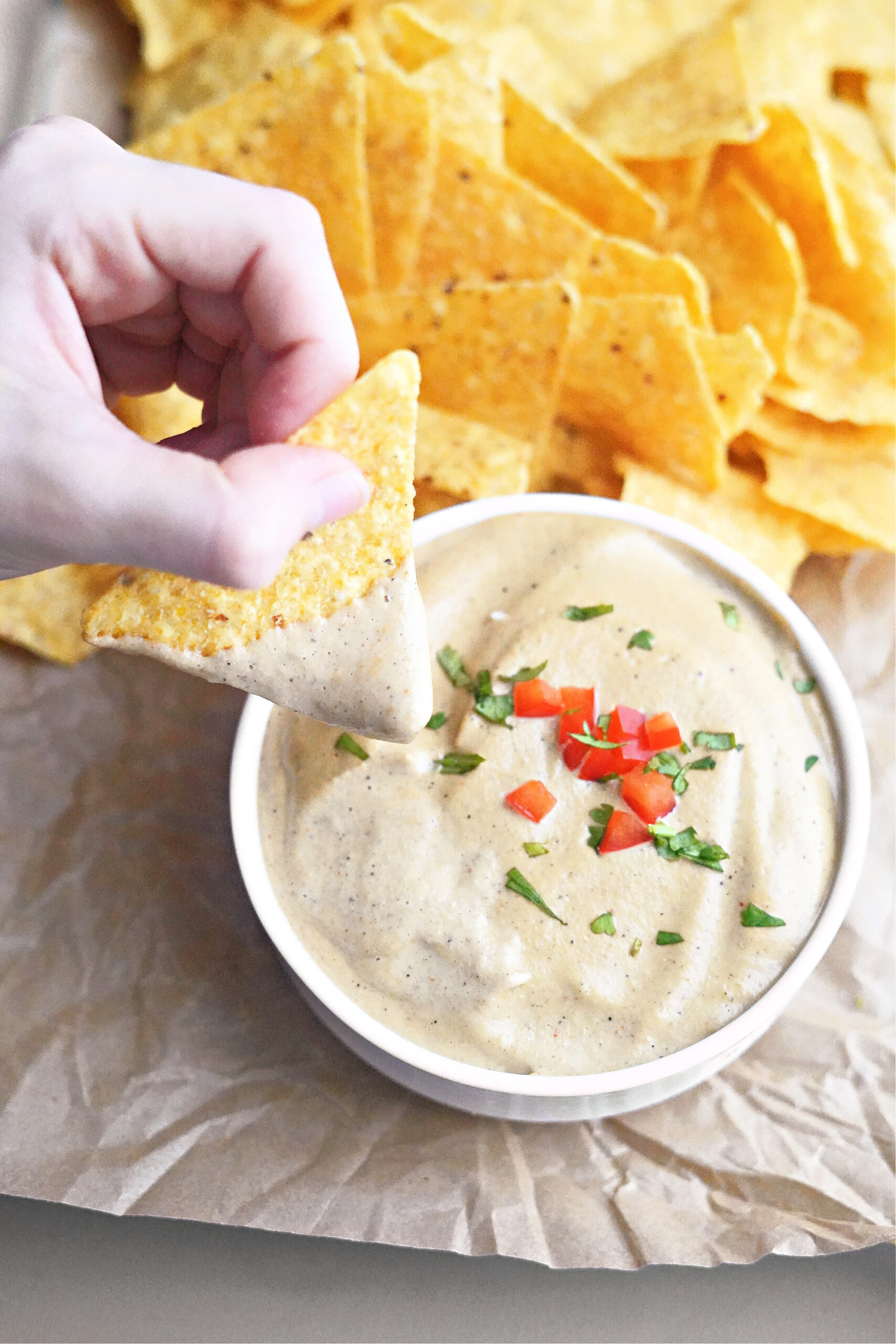 5 Minute Prep Dairy Free Blender Queso
