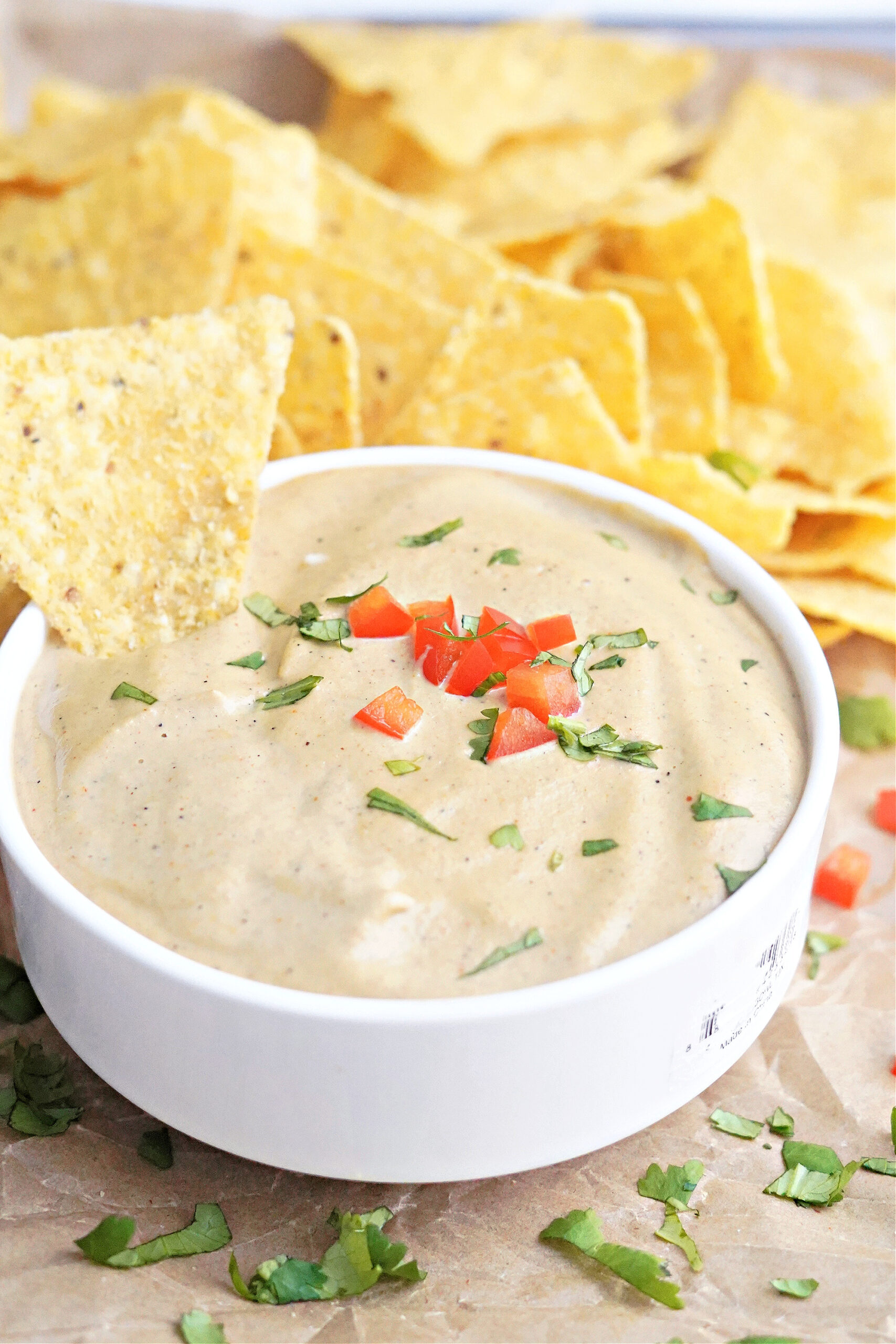 5 Minute Prep Dairy Free Blender Queso