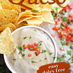 5 Minute Prep Dairy Free Blender Queso