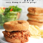 Slow Cooker Chicken Sloppy Joes